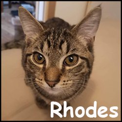 Rhodes