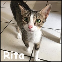 Rita