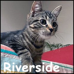 Riverside