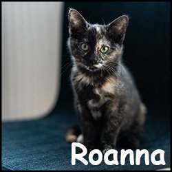 Roanna