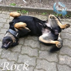 Rock