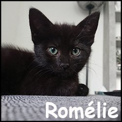 Romélie