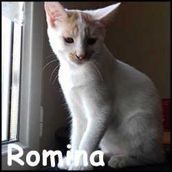 Romina