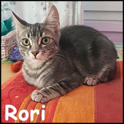 Rori