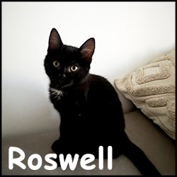 Roswell