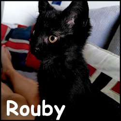 Rouby