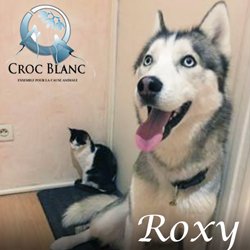 Roxy