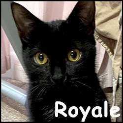 Royale