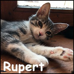 Rupert