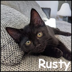 Rusty