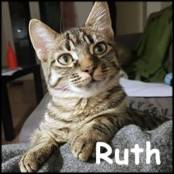 Ruth