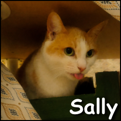 Sally