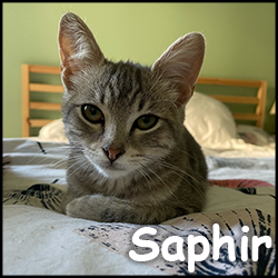 Saphir