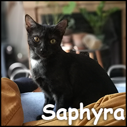 Saphyra