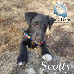 Scotty1