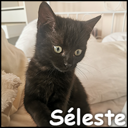 Seleste