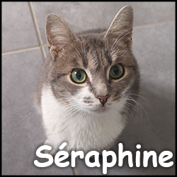 Seraphine