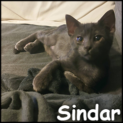 Sindar