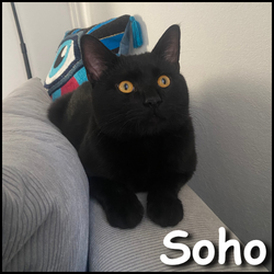 Soho