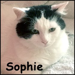 Sophie