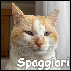 Spaggiari