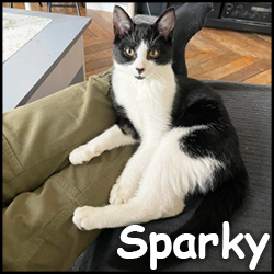 Sparky