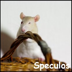 Speculos