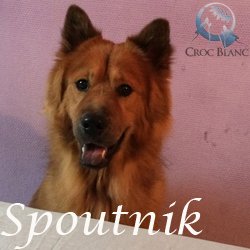 Spoutnik2