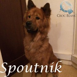 Spoutnik