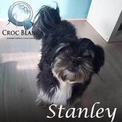 Stanley