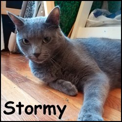 Stormy