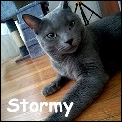 Stormy