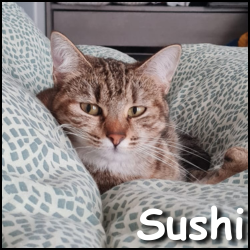 Sushi 2