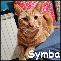 Symba