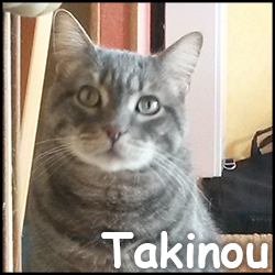 Takinou