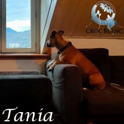 Tania