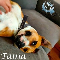 Tania 3