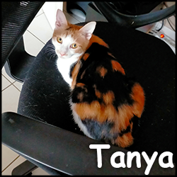 Tanya