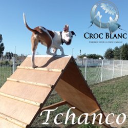 Tchanco 