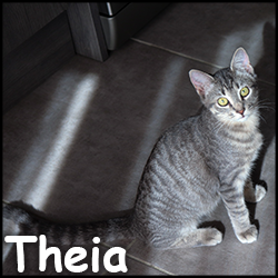 Theia