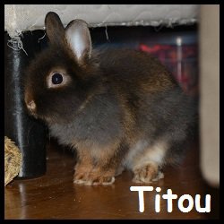 Titou