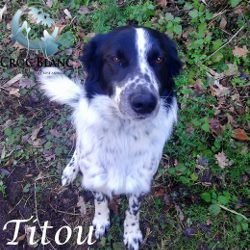 Titou