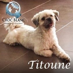 Titoune