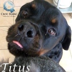 Titus