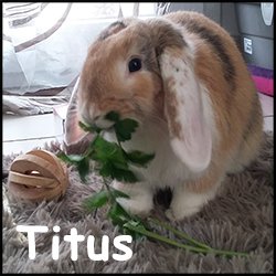 Titus