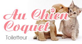 toiletteur