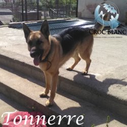 Tonnerre