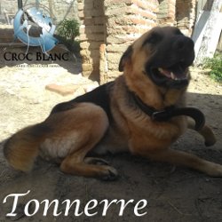 Tonnerre