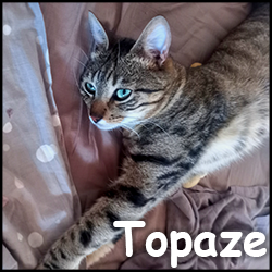 Topaze