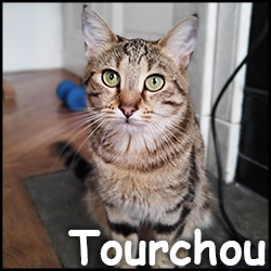 Tourchou